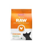 Hunger for Words Talking Pet Starter Set — изображение 2